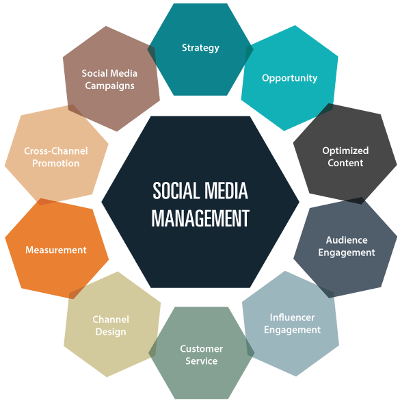 Best Social Media Account Management – Expert Social Media Marketing Agency in Doha
